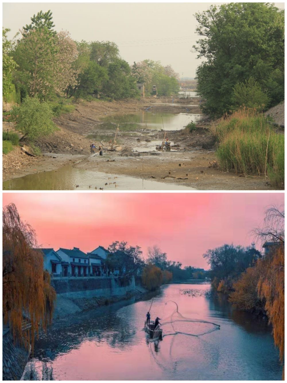 江蘇省揚州市江都區(qū)明清運河故道整治前后。（上圖：2012年；下圖：2020年）（孫友定 攝）