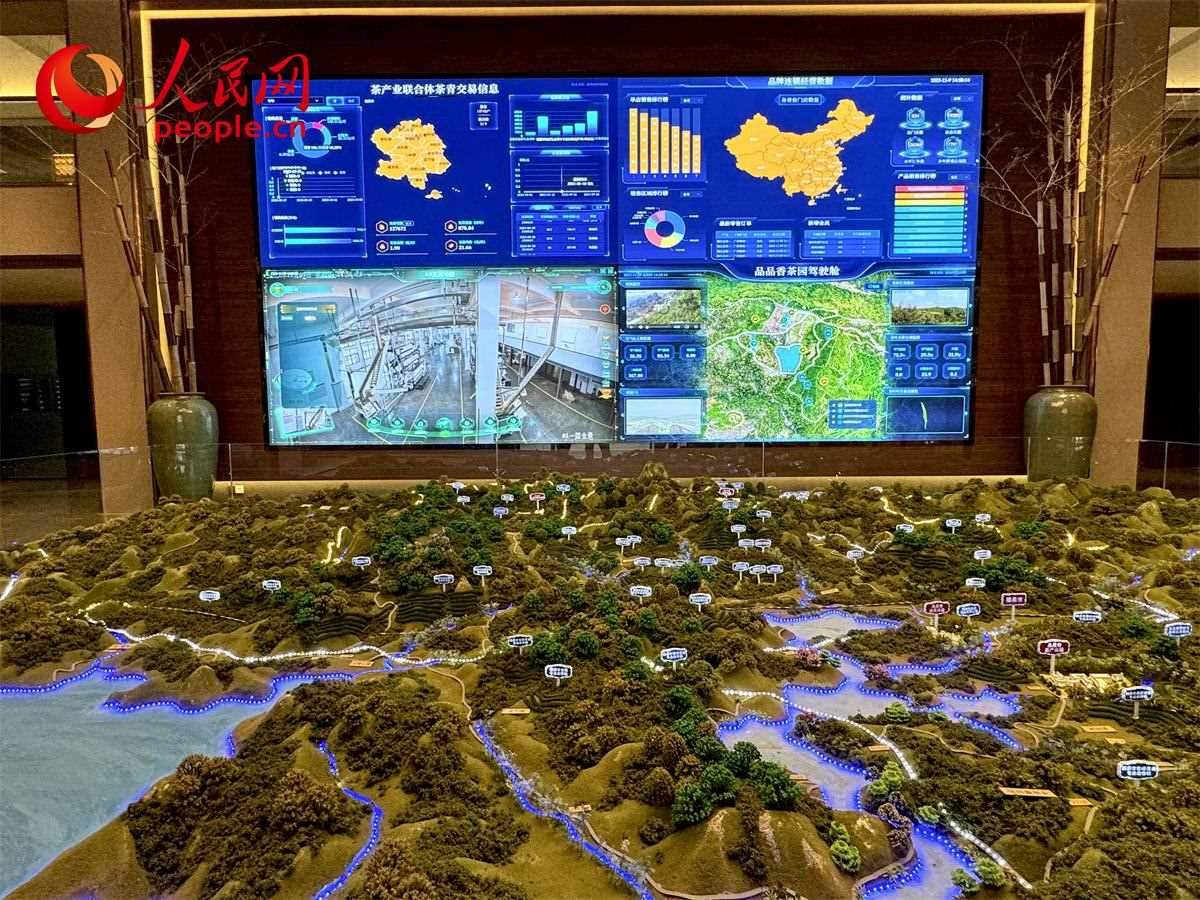 品品香白茶產(chǎn)業(yè)園信息中心數(shù)智化大屏。人民網(wǎng)記者 劉微攝