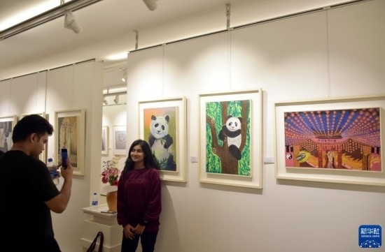 11月22日，在孟加拉國達(dá)卡，人們在“國家印象”繪畫展上參觀拍照。新華社發(fā)（薩利姆攝）