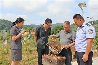  圖②：蒙山法院黃村法庭法官深入蜂蜜合作社，實地了解蜂農(nóng)需求。