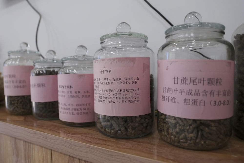 這是12月13日在來(lái)賓市興賓區(qū)小平陽(yáng)鎮(zhèn)一家飼料廠(chǎng)拍攝的以甘蔗尾葉為原料制成的飼料。