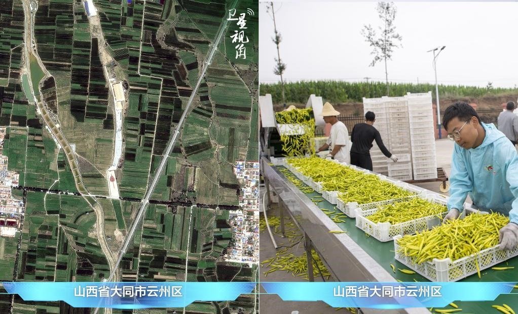 當(dāng)前，大同市開(kāi)發(fā)黃花菜品、食品、飲品、功能食品、化妝品、文創(chuàng)產(chǎn)品六大系列130余種，全產(chǎn)業(yè)鏈產(chǎn)值超40億元。