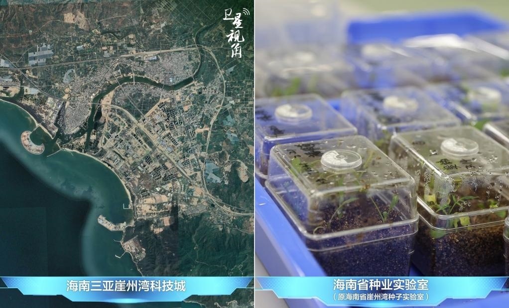 位于三亞崖州灣科技城的海南省種業(yè)實(shí)驗(yàn)室（原海南省崖州灣種子實(shí)驗(yàn)室）將形成輻射全國(guó)和“一帶一路”沿線(xiàn)國(guó)家的種子科學(xué)技術(shù)創(chuàng)新中心。