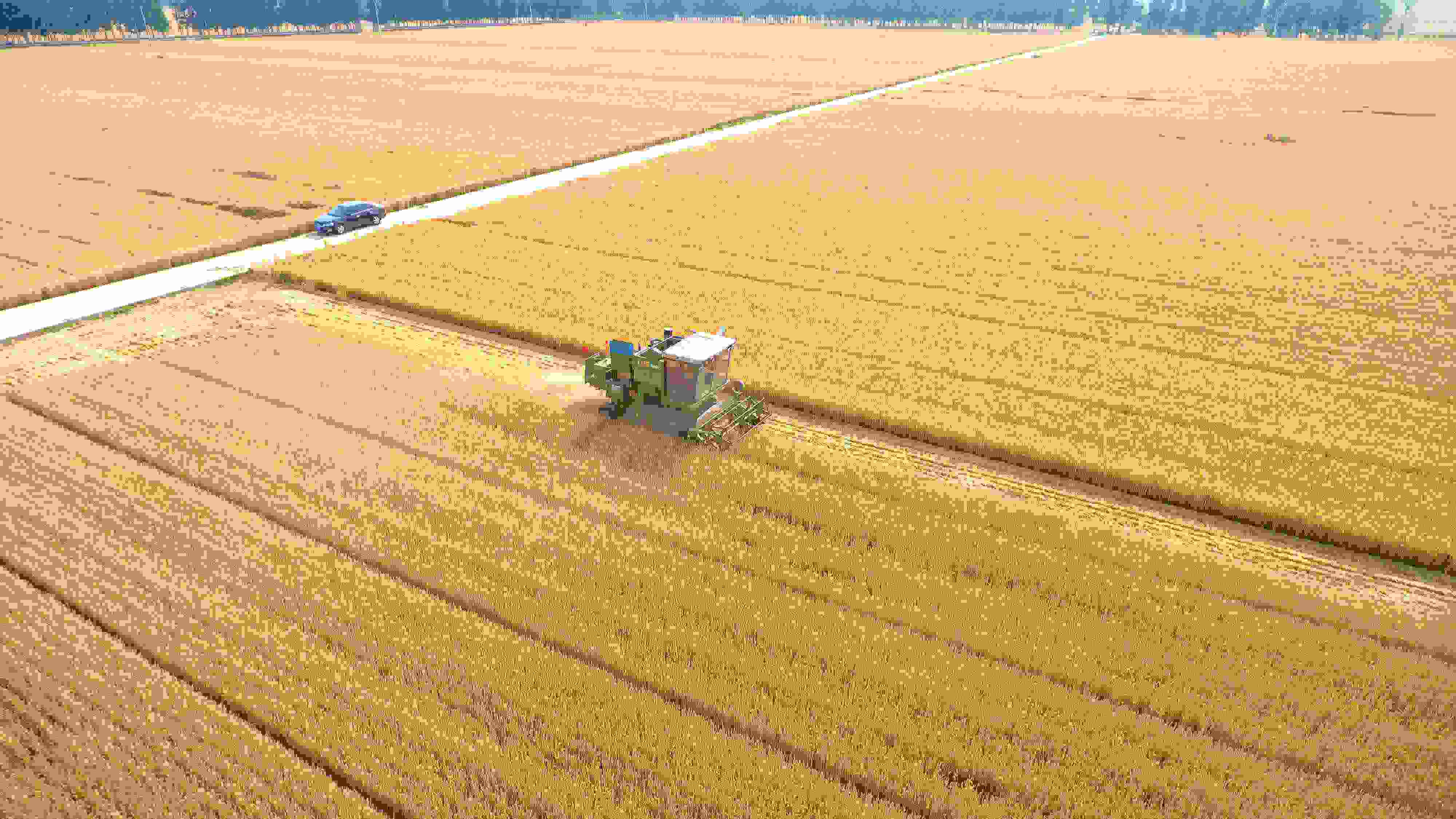 △ 2023年6月5日，山東聊城茌平區(qū)賈寨鎮(zhèn)王藥包村，收割機(jī)在田間進(jìn)行小麥?zhǔn)崭钭鳂I(yè)。