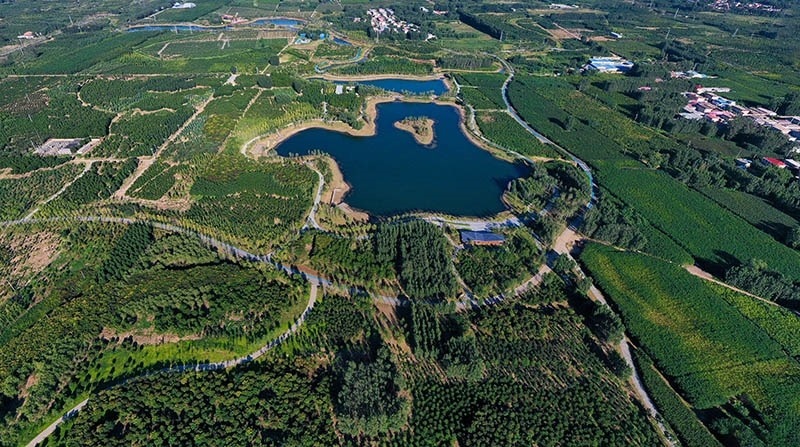 這是2022年9月6日拍攝的雄安新區(qū)“千年秀林”。