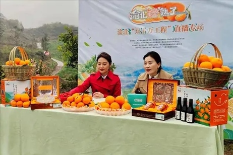 2021年2月26日，在重慶渝北區(qū)大盛鎮(zhèn)青龍村舉辦的直播活動現(xiàn)場。