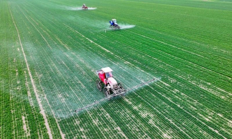 2024年2月18日，安徽省亳州市，利辛縣紀(jì)王場(chǎng)鄉(xiāng)孫老家村麥田，農(nóng)民駕駛自走式高桿噴霧機(jī)對(duì)小麥進(jìn)行噴藥作業(yè)。