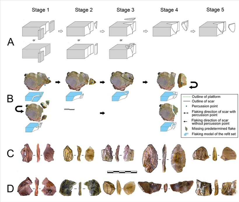 岑家灣遺址“準(zhǔn)備石核技術(shù)”及相關(guān)石制品。（受訪單位供圖）
