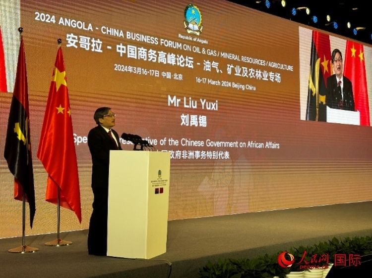 中國政府非洲事務(wù)特別代表劉禹錫。人民網(wǎng)記者 張榮攝