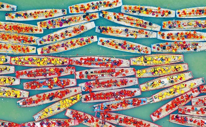 溱潼會船由南宋相沿至今，歷經(jīng)數(shù)百年傳承，被列入國家級非物質文化遺產(chǎn)名錄。圖為2024年4月6日在江蘇省泰州市姜堰區(qū)溱湖國家濕地公園參加會船表演的船只。 新華社發(fā) 湯德宏/攝