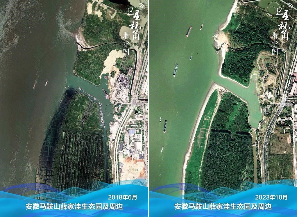 經(jīng)過整治后的安徽馬鞍山薛家洼生態(tài)園生機盎然。