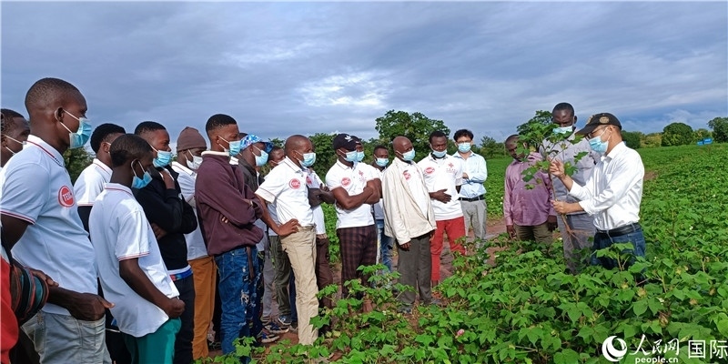 項目組長首小勇向當(dāng)?shù)孛揶r(nóng)做技術(shù)講解。人民網(wǎng)記者 黃培昭攝