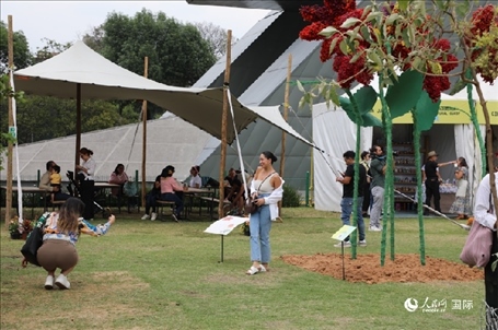 坎波·馬特活動現(xiàn)場。埃內(nèi)斯托·多明戈斯攝