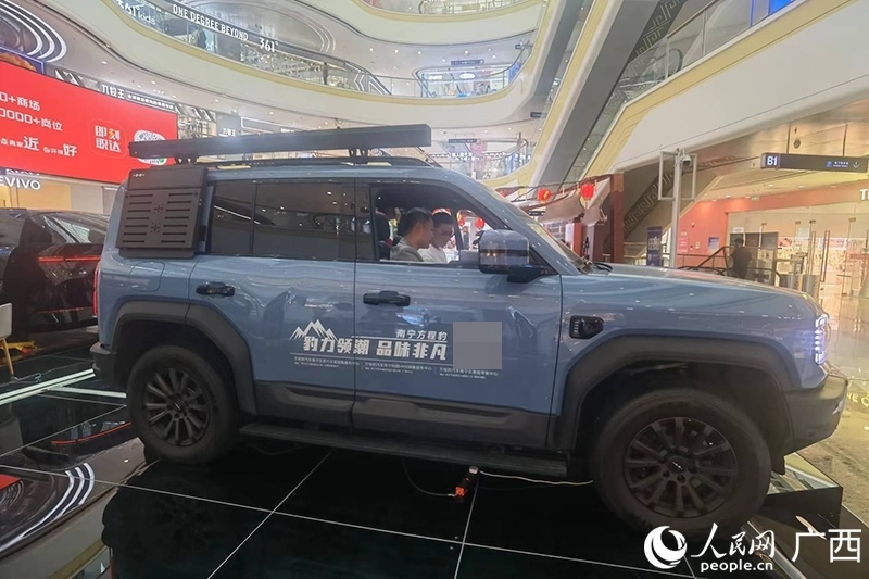 消費(fèi)者在商場(chǎng)選購(gòu)汽車。人民網(wǎng)記者 陳燕攝