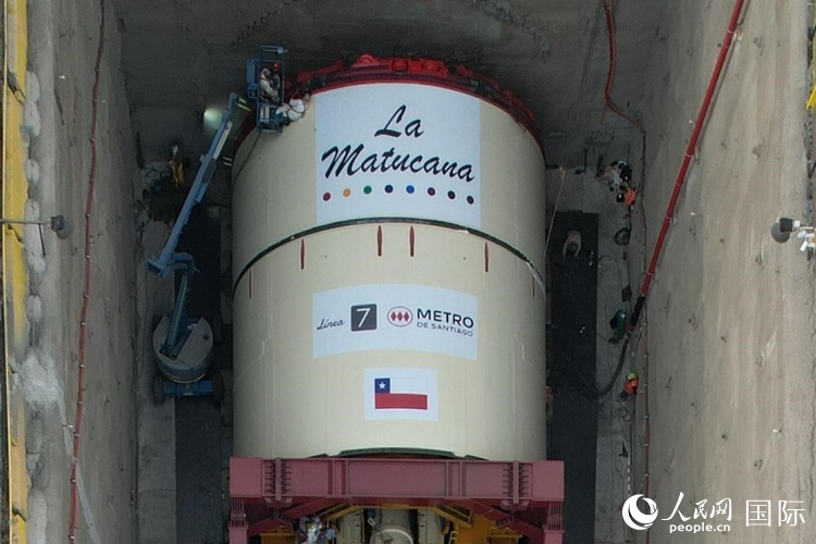 質(zhì)構(gòu)機(jī)全景。陳露明攝