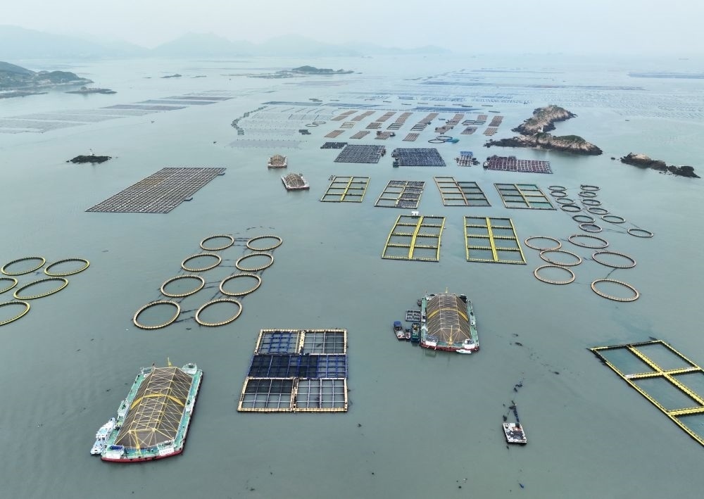 在福建連江定海灣海域，坐落著“定海灣1號”“定海灣2號”等深遠海養(yǎng)殖平臺（2024年5月7日攝，無人機照片）。新華社記者 林善傳 攝