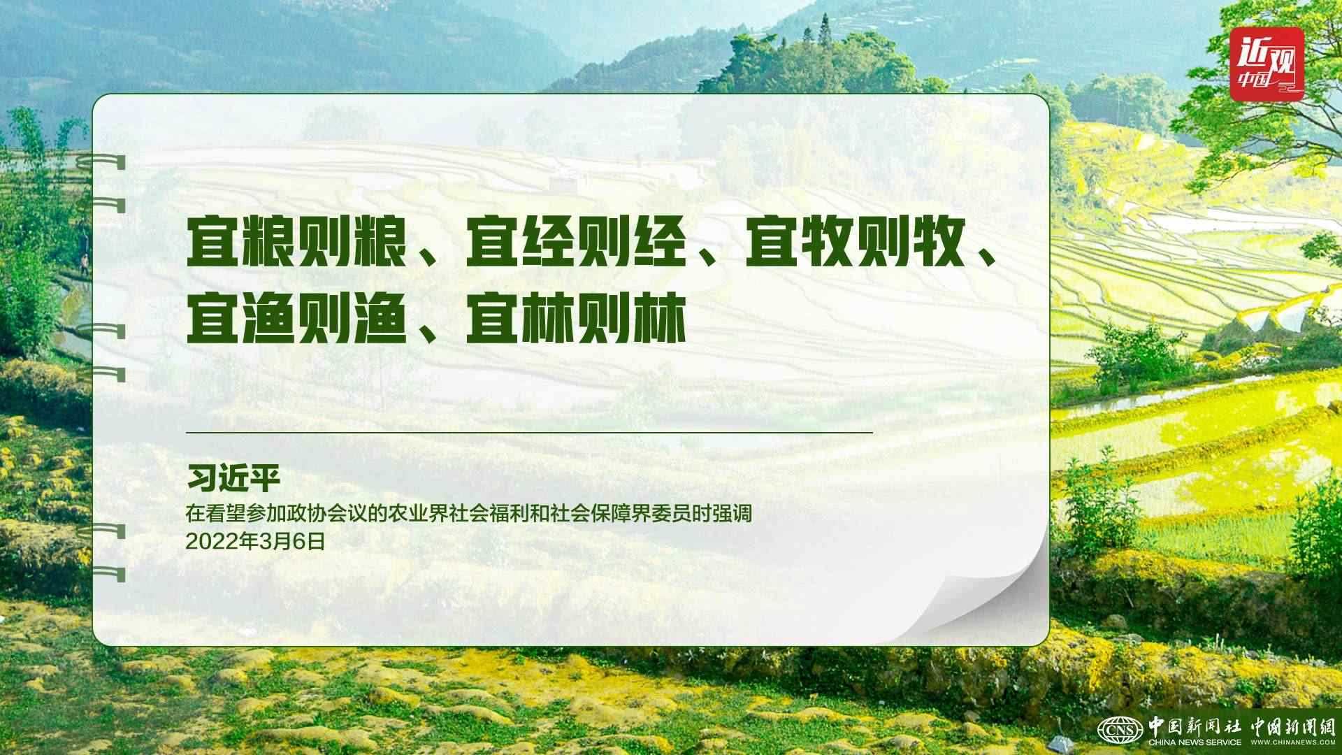 習(xí)近平：樹立大食物觀，構(gòu)建多元化食物供給體系