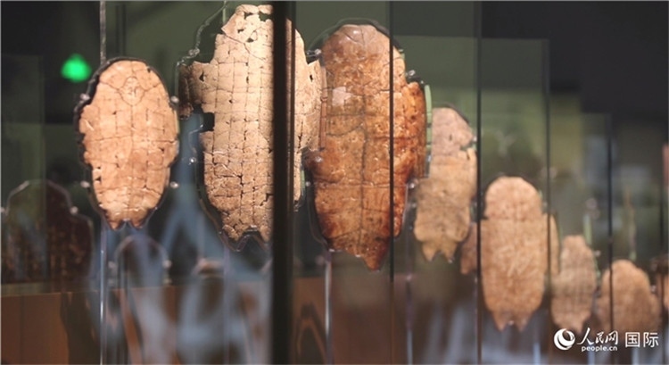 殷墟博物館新館的甲骨展品。人民網(wǎng)記者 劉寧攝