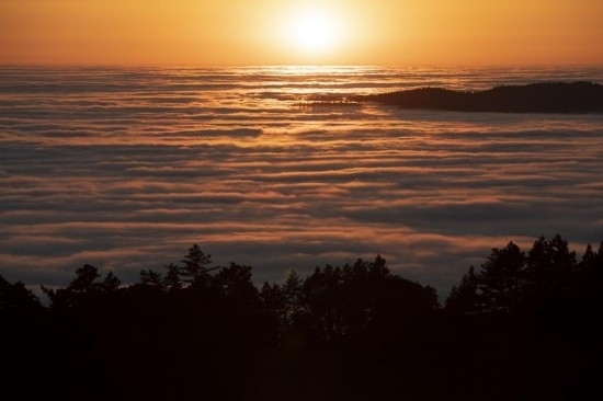 這是5月14日在美國加利福尼亞州馬林縣拍攝的云海。新華社發(fā)（李建國攝）