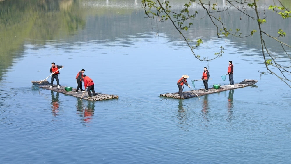 浙江省臺(tái)州市仙居縣步路鄉(xiāng)黨員志愿者與河長(zhǎng)一起在永安溪巡河護(hù)水，清理雜物垃圾（2024年3月20日攝）。新華社發(fā)（王華斌攝）