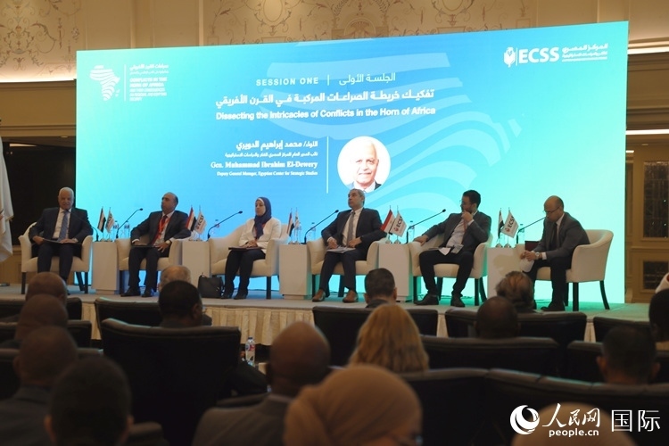 “非洲之角沖突及其對地區(qū)和埃及安全的影響”的研討會現(xiàn)場。沈小曉攝