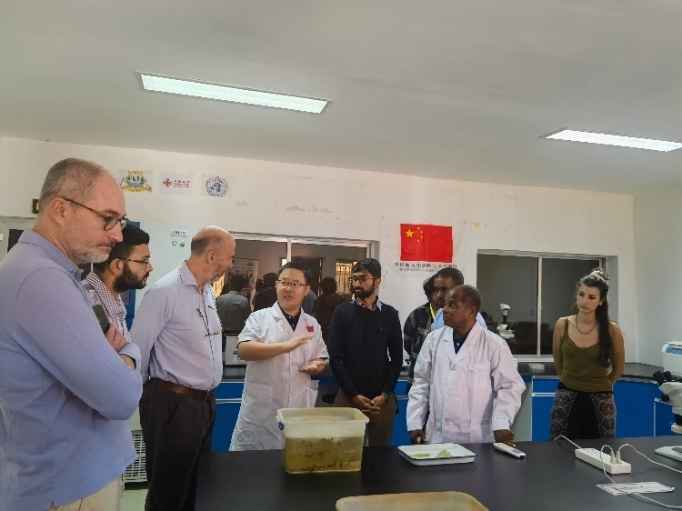 活動現(xiàn)場。專家組供圖