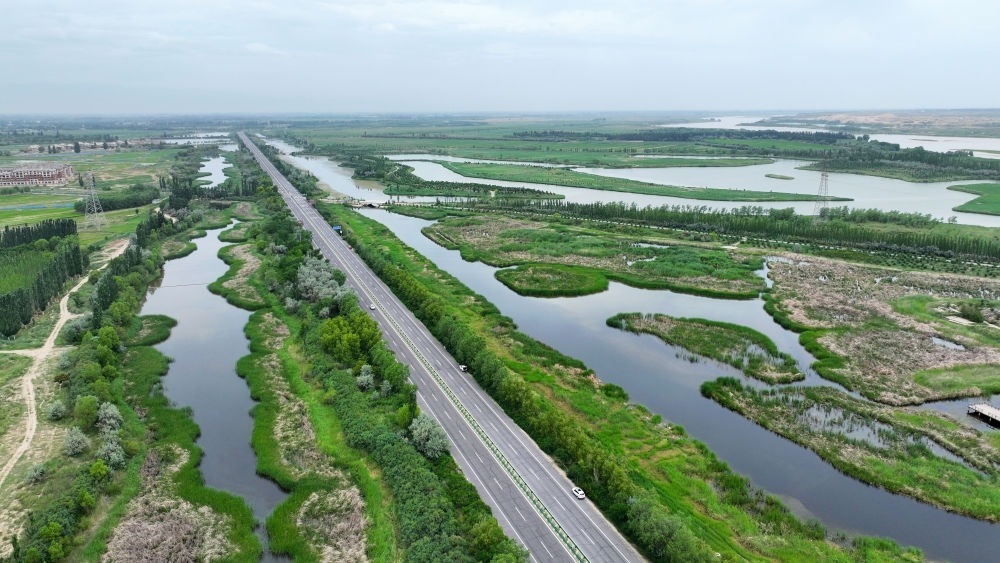 這是2024年6月13日拍攝的黃河寧夏段濱河大道（無(wú)人機(jī)照片）。近年來(lái)，寧夏努力建設(shè)黃河流域生態(tài)保護(hù)和高質(zhì)量發(fā)展先行區(qū)，全力打好黃河保護(hù)持久戰(zhàn)。新華社記者 王鵬 攝