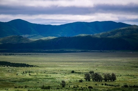 2023年8月4日拍攝的大興安嶺南麓內(nèi)蒙古罕山國家級自然保護區(qū)風(fēng)光。新華社記者 連振 攝