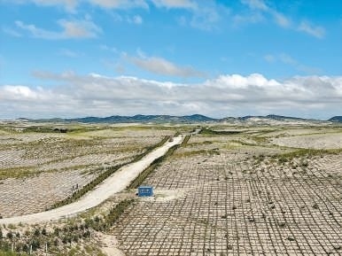 剛剛竣工的其白線(xiàn)穿沙公路。