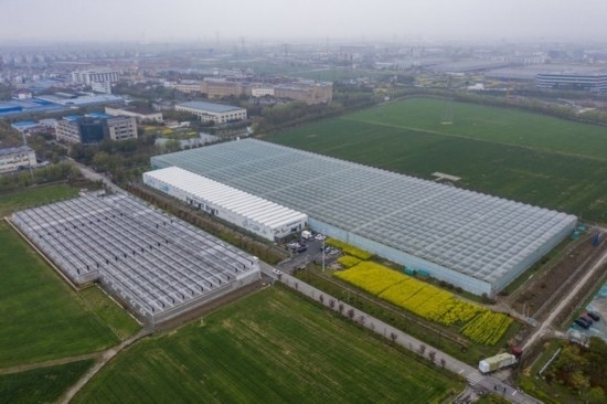 2024年3月28日，空中俯瞰嘉興南湖區(qū)湘家蕩農(nóng)業(yè)數(shù)字化工廠（無人機照片）。該農(nóng)業(yè)數(shù)字化工廠占地總面積約62畝，包含智慧農(nóng)業(yè)生產(chǎn)、物聯(lián)網(wǎng)智能管理、自動分揀包裝、保鮮儲藏物流、高科技示范展示等五大功能區(qū)，可直接或間接培養(yǎng)帶動新型職業(yè)技術(shù)農(nóng)民500人以上。新華社記者 徐昱 攝