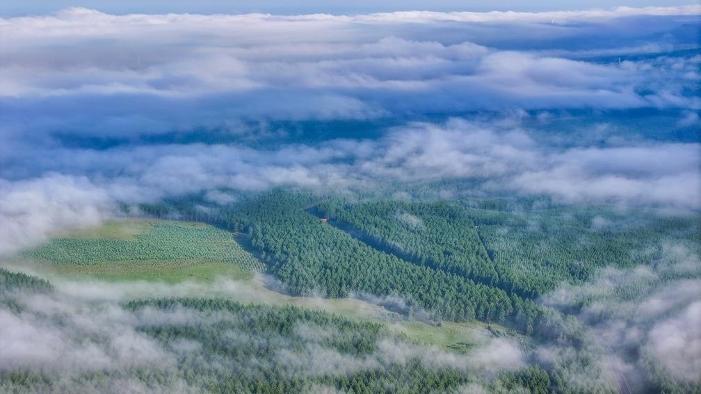 2024年7月26日拍攝的塞罕壩國家級自然保護區(qū)景色。新華社發(fā)（劉滿倉 攝）