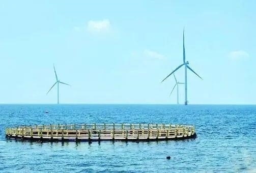 △山東萊州風(fēng)電項(xiàng)目實(shí)現(xiàn)了海上風(fēng)電和海洋牧場(chǎng)融合發(fā)展。