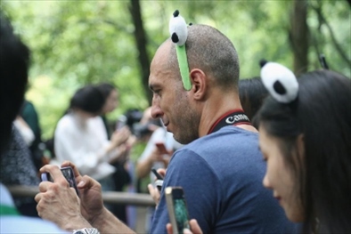 俄羅斯《俄羅斯報》視覺內(nèi)容編輯阿爾圖爾·杰魯諾夫在拍攝熊貓。（李佩藺 攝）