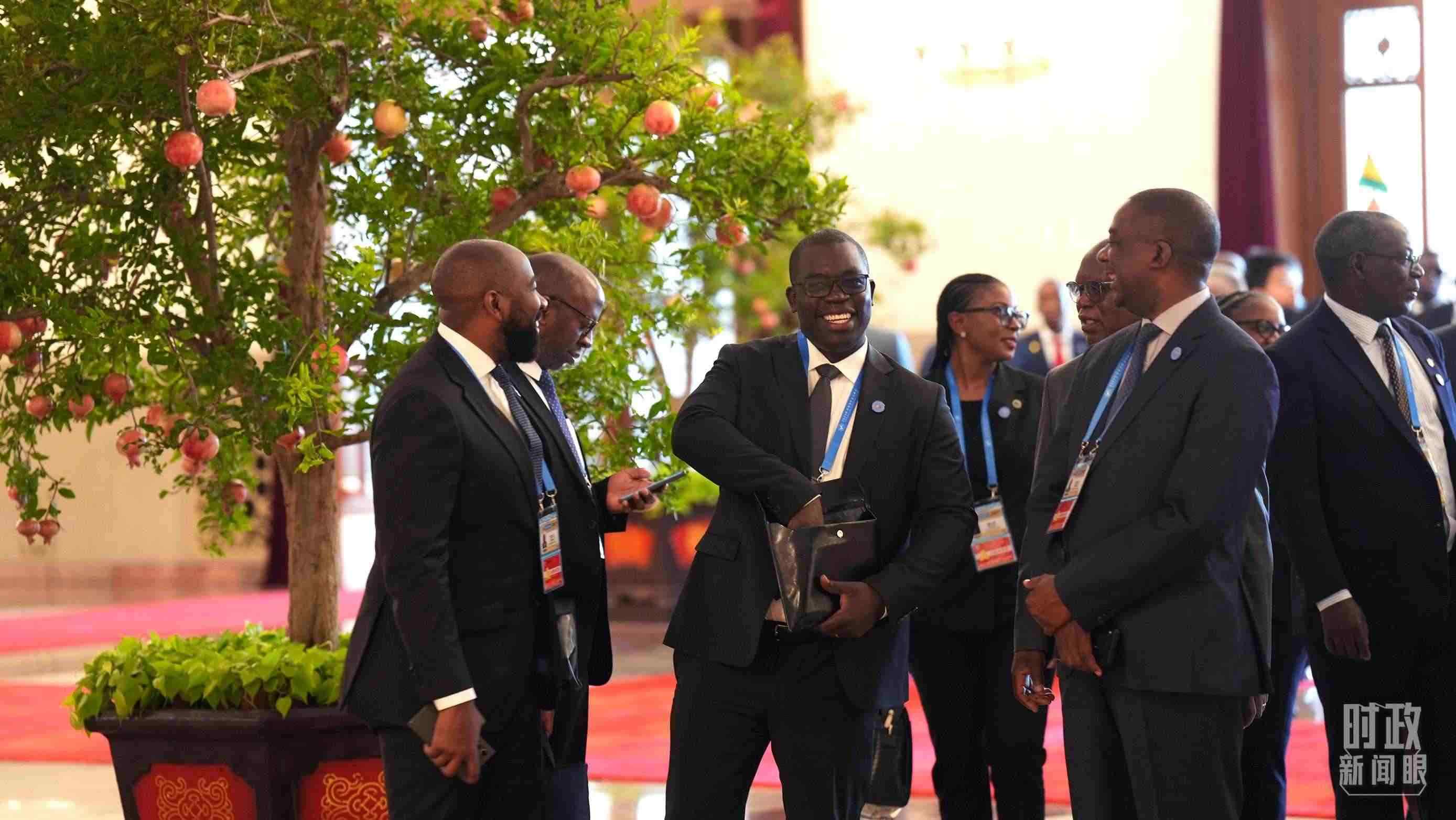 出席中非合作論壇北京峰會的非洲國家代表。（總臺記者李晉拍攝）