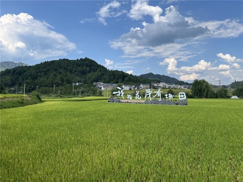 青瓦白磚的黔北民居、風(fēng)中搖曳的稻田、抬手可觸的大片云朵……才剛下車(chē)，格魯吉亞“經(jīng)濟(jì)中心網(wǎng)”總編輯莉安娜·喬爾喬利亞尼就被眼前的景色拖住了步履，喃喃細(xì)語(yǔ)：“實(shí)在太美了，讓我內(nèi)心平靜，在這里生活一定非常安逸和幸福?！保ㄇ褫x攝）