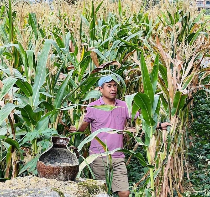 不是攀登石林高臺(tái)，就是鉆入玉米莊稼地，吉爾吉斯斯坦《自由之山報(bào)》總編輯納拉雷·阿桑巴耶夫“身手不凡”，與生長(zhǎng)旺盛的玉米構(gòu)成了花茂村的鄉(xiāng)間野趣。（張亞欣攝）