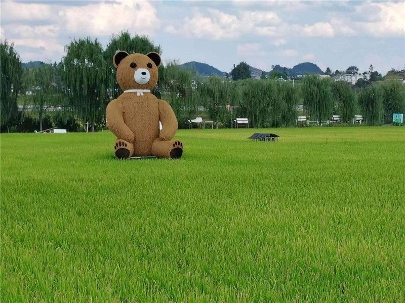 稻穗搖曳，垂柳依依，山嵐多姿，好一幅歲月靜好山鄉(xiāng)恬靜圖。這憨厚俏皮的熊玩偶造型，像是亂入其中，形成現(xiàn)代與傳統(tǒng)、好動(dòng)與寧?kù)o的反差感，讓人過(guò)目不忘，也讓人莞爾一笑。（哈薩克斯坦鳳凰24新聞社總編輯兼首席執(zhí)行官克馬爾·馬山羅攝）