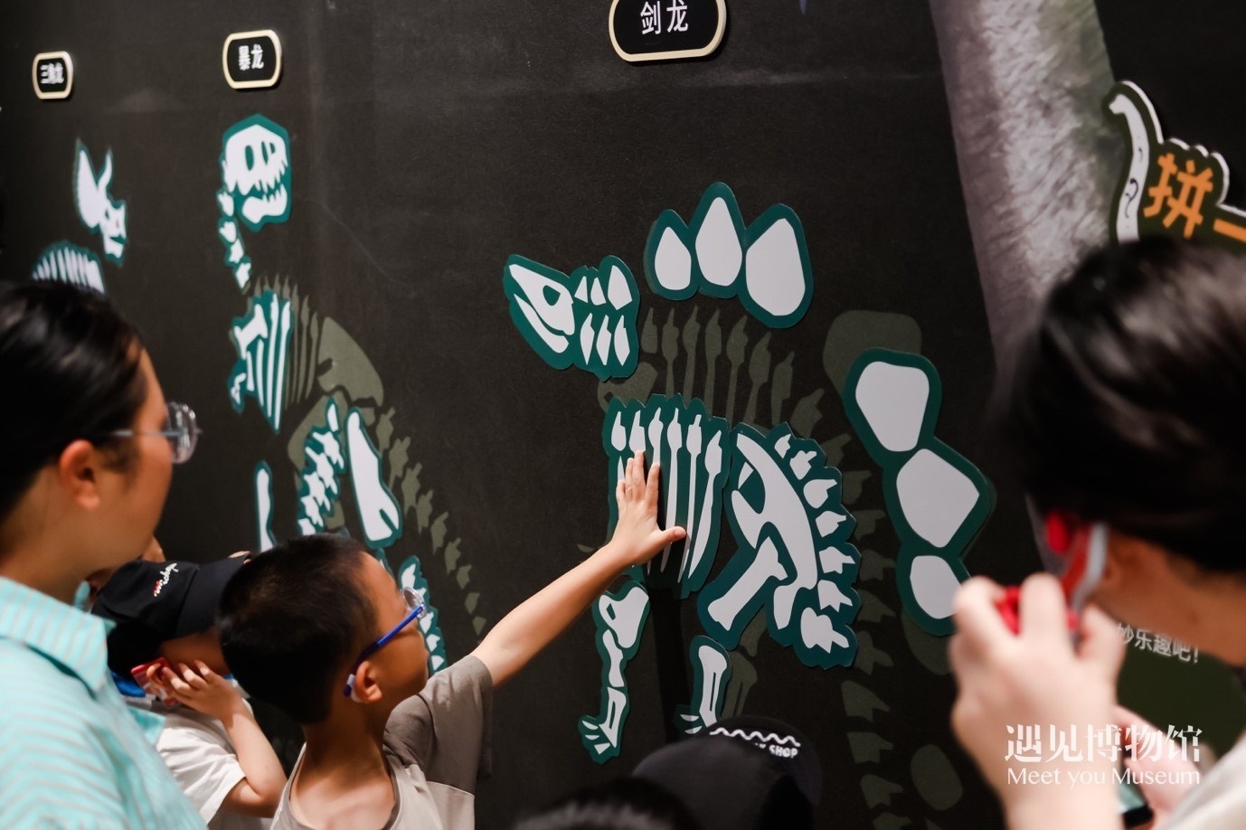 5. “2億年的地球記憶——恐龍化石特展”互動區(qū)域。遇見博物館供圖