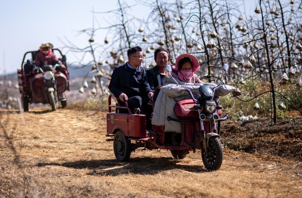 全國人大代表袁海波（右三）在云南省曲靖市馬龍區(qū)一種植基地了解務(wù)工人員就業(yè)需求（2023年2月11日攝）。新華社記者 江文耀 攝