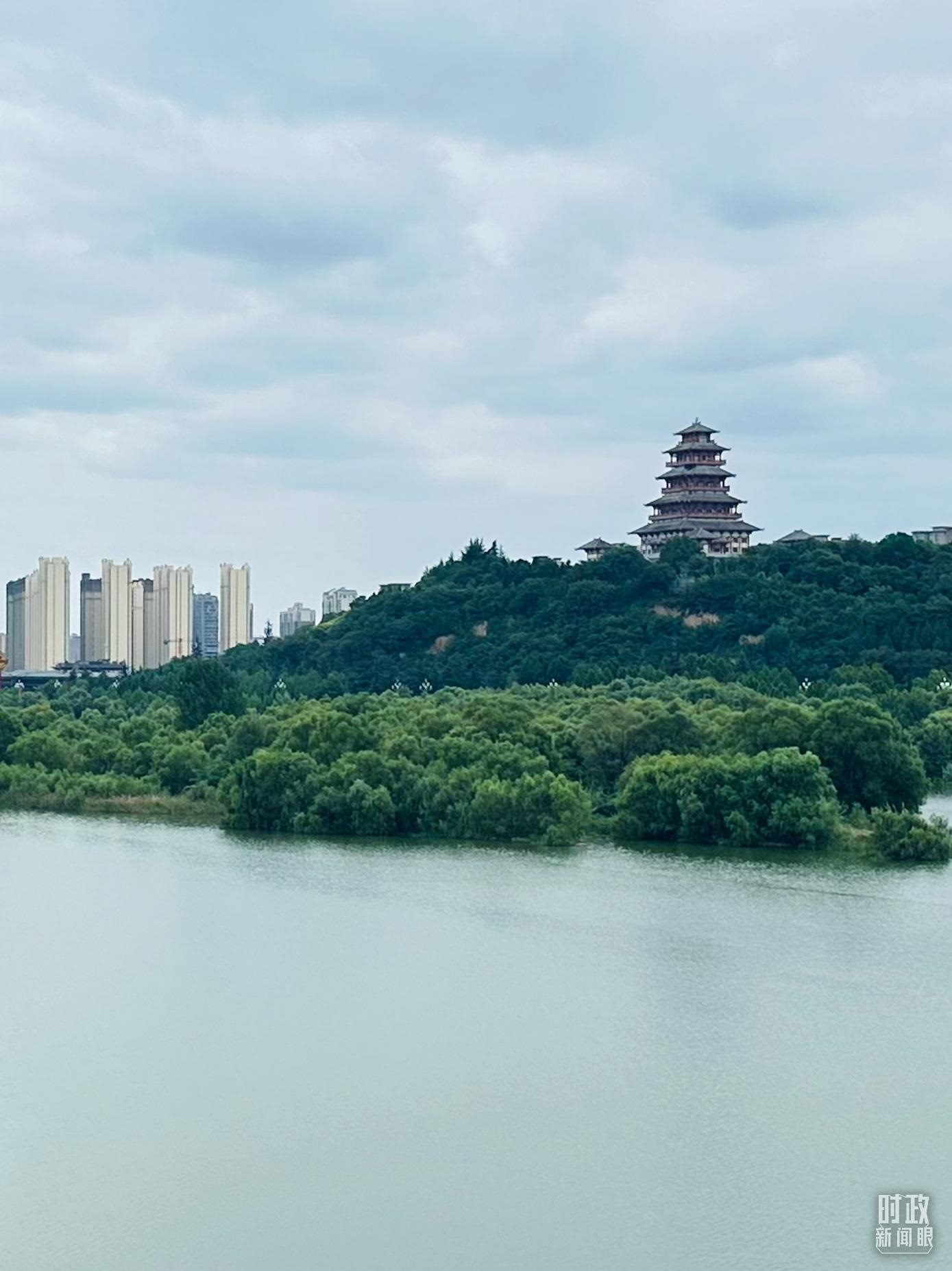 △渭河寶雞段長224公里，目前建成17處渭河灘區(qū)生態(tài)涵養(yǎng)區(qū)。（總臺央視記者范一鳴拍攝）