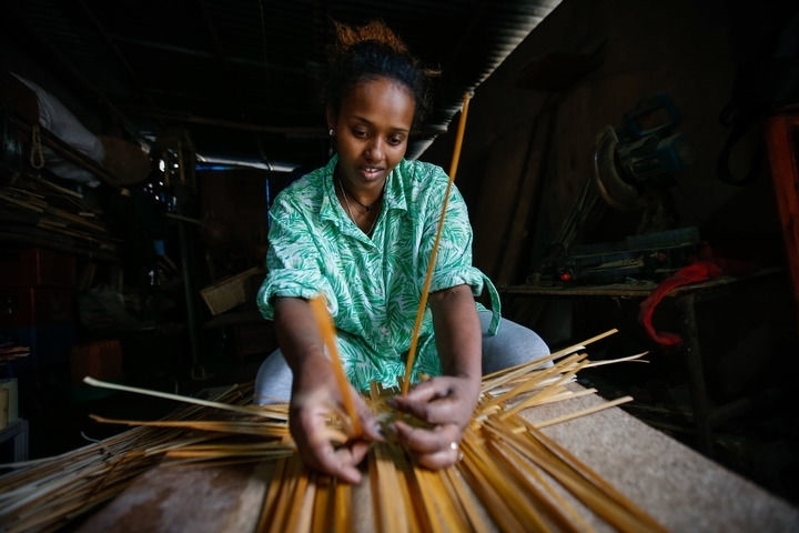 2024年8月10日，菲基爾特·加布雷在埃塞俄比亞首都亞的斯亞貝巴名為“綠色金子”的竹藤工作室里加工竹制產(chǎn)品。新華社發(fā)（邁克爾·特韋爾德 攝）