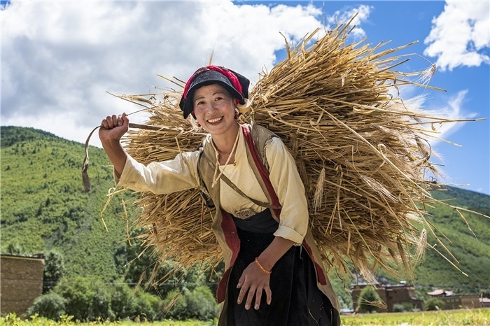 康定市甲根壩鎮(zhèn)青稞豐收，農(nóng)牧民臉上洋溢著豐收的喜悅。林革文攝
