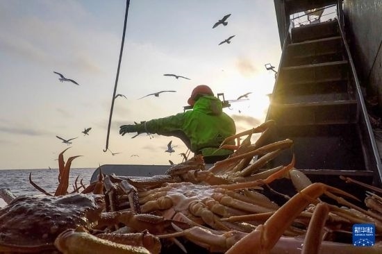 這是俄羅斯蟹業(yè)集團(tuán)工作人員進(jìn)行遠(yuǎn)洋捕撈的資料照片。新華社發(fā)（俄羅斯蟹業(yè)集團(tuán)供圖）