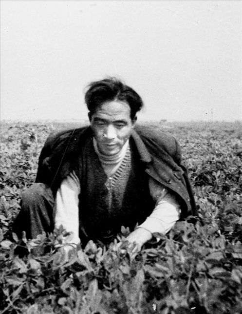 在蘭考期間，焦裕祿在田間勞動的情景。