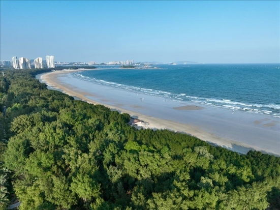 郁郁蔥蔥的東山縣沿海防護(hù)林（無人機(jī)拍攝）。新華社記者 姜克紅 攝