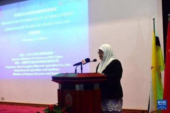10月26日，文萊初級(jí)資源與旅游部常任秘書圖蒂亞蒂在斯里巴加灣市出席中國(guó)與文萊雜交水稻高級(jí)專家顧問項(xiàng)目啟動(dòng)儀式。新華社記者 李萌 攝
