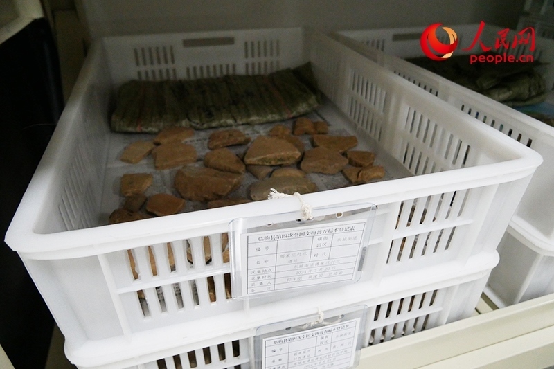 已經(jīng)整理完畢的文物標本。人民網(wǎng)記者 韋衍行攝
