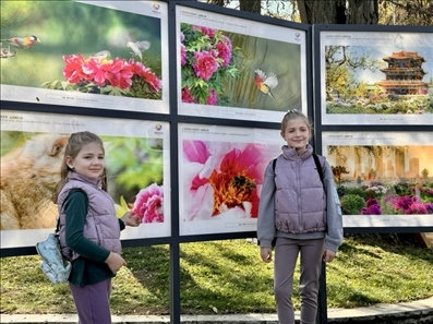 活動(dòng)現(xiàn)場(chǎng)。中國駐保加利亞大使館供圖。