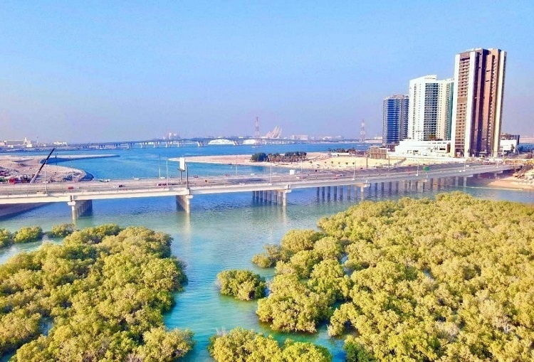 圖為瑞姆橋施工現(xiàn)場(chǎng)。中國(guó)土木供圖