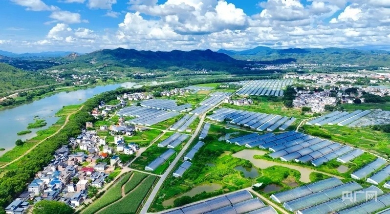 于都縣梓山鎮(zhèn)富硒蔬菜產(chǎn)業(yè)園（央廣網(wǎng)發(fā) 朱海鵬 攝）